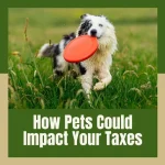 How Pets Could Impact Your Taxes