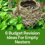 6 Budget Revision Ideas For Empty Nesters